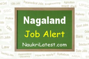 DSE Nagaland Recruitment 2022: Apply Offline for 58 Graduate Teacher (Hindi)
